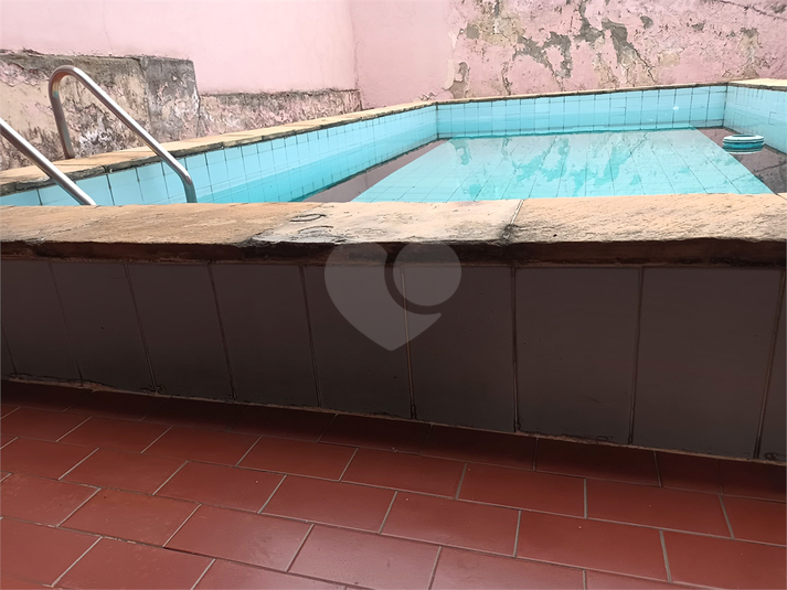 Foto REO1099537