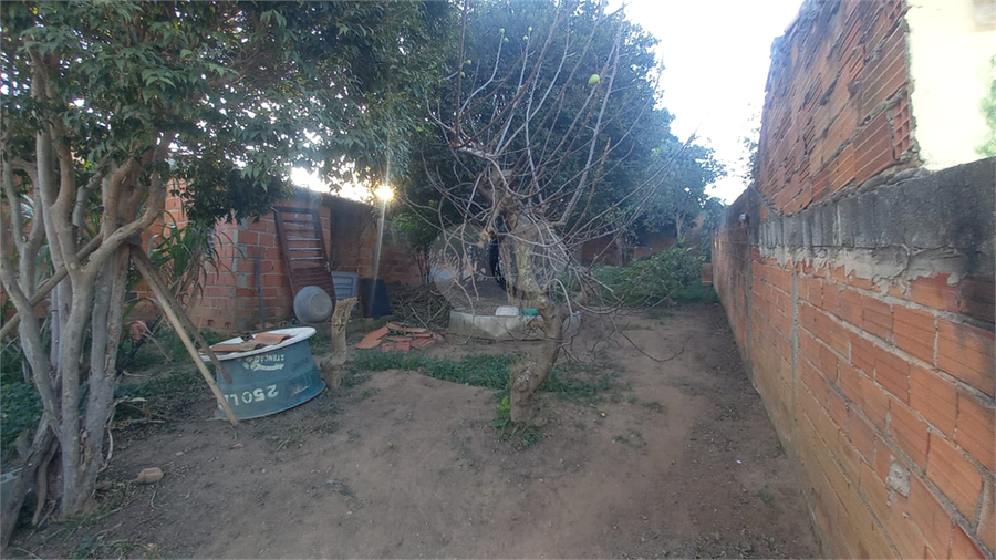 Foto REO1099549