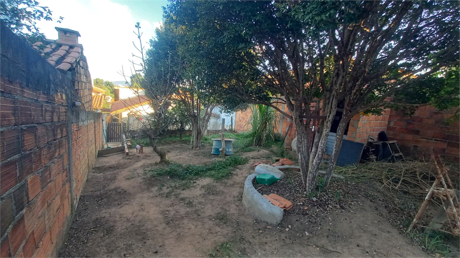 Foto REO1099549