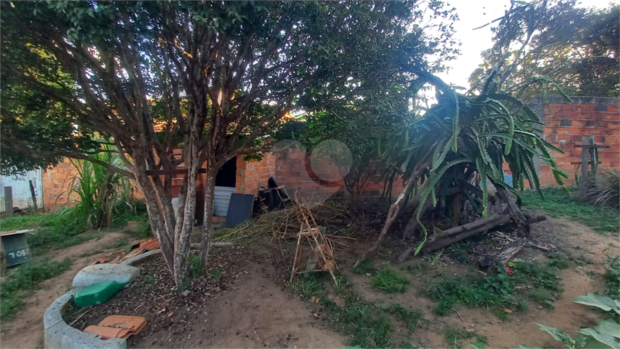 Foto REO1099549