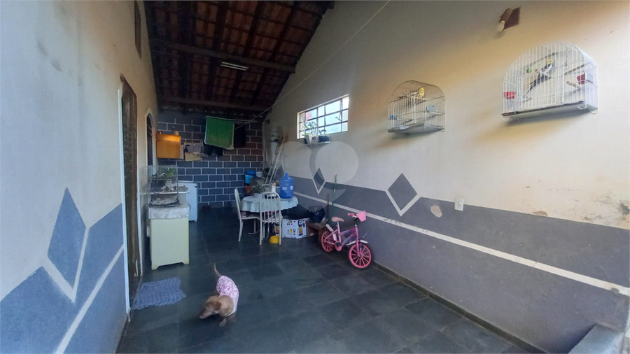 Foto REO1099549
