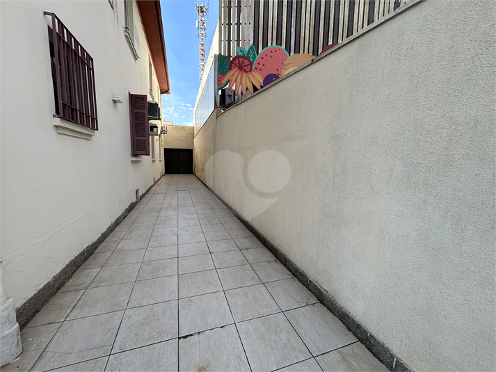 Foto REO1099556