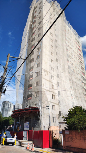 Foto REO1099562
