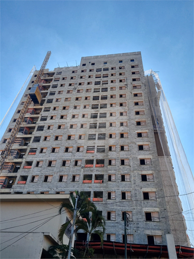 Foto REO1099562