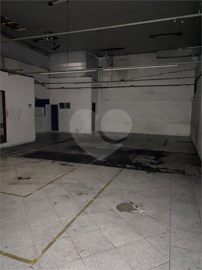 Foto REO1099570