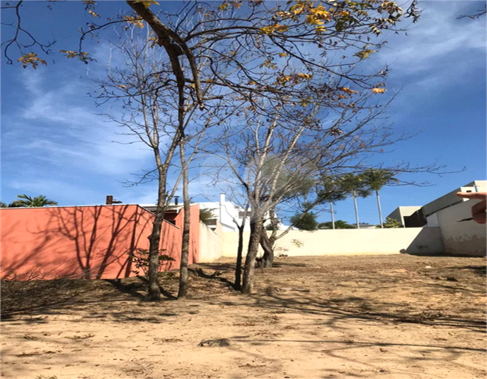 Foto REO1099576