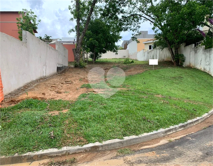 Foto REO1099576
