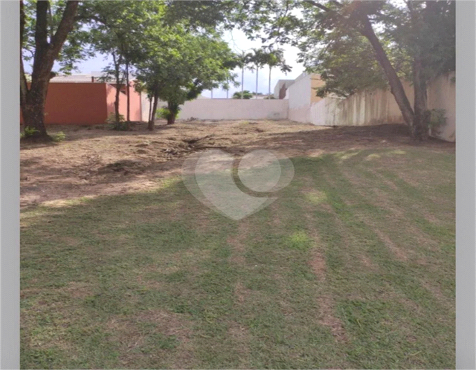Foto REO1099576