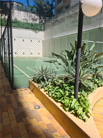 Foto REO1099632