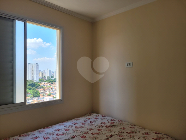 Foto REO1099636