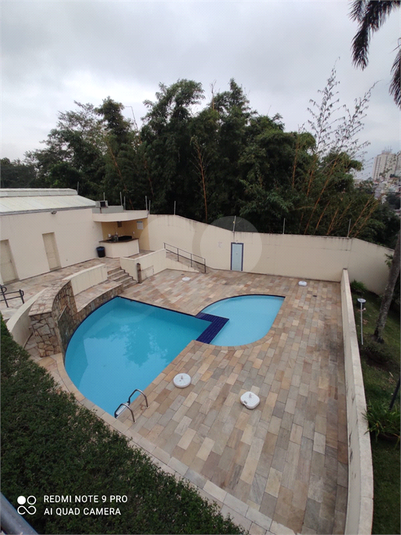 Foto REO1099636