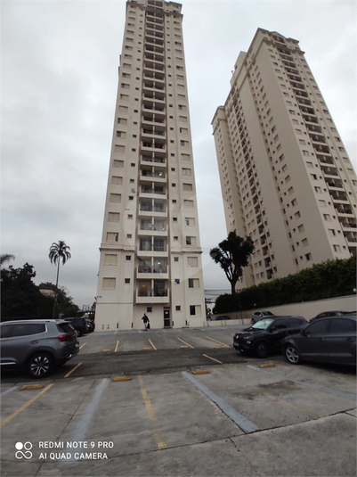 Foto REO1099636