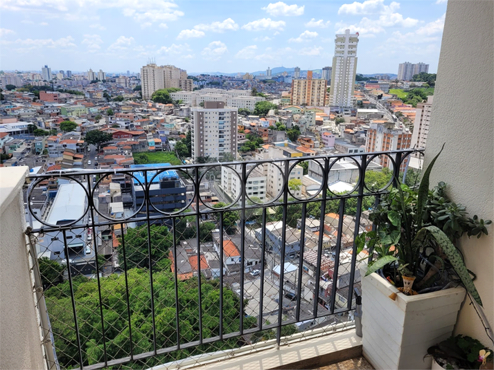 Foto REO1099636