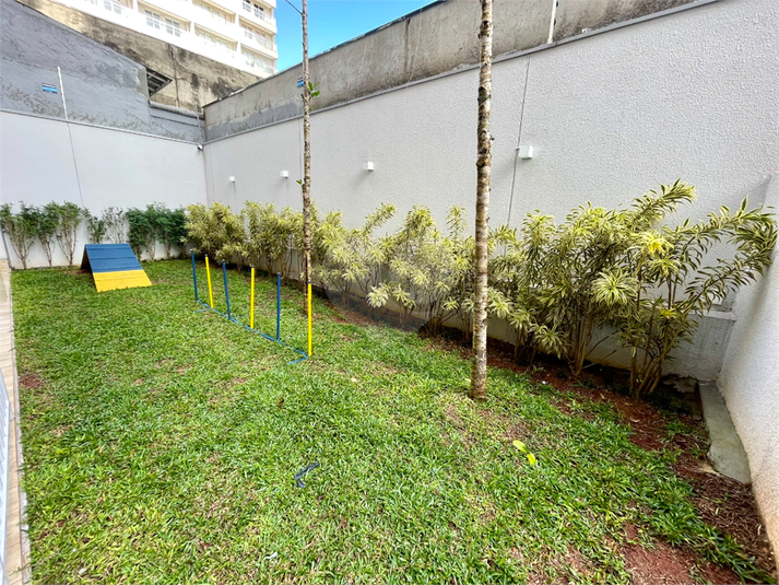 Foto REO1099671