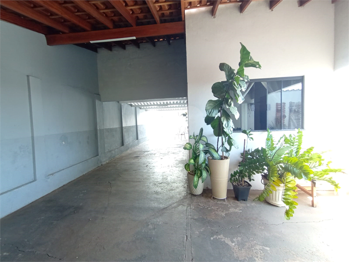 Foto REO1099674