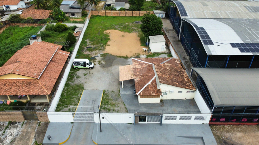 Foto REO1099676