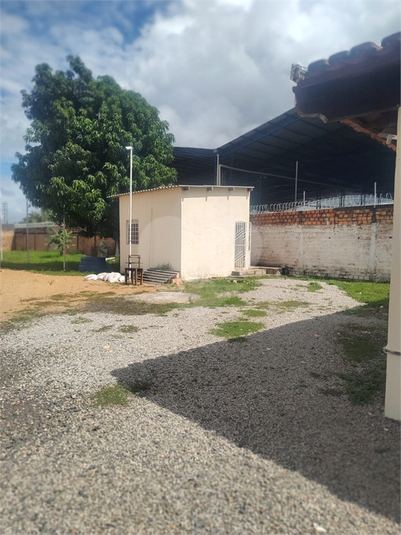 Foto REO1099676