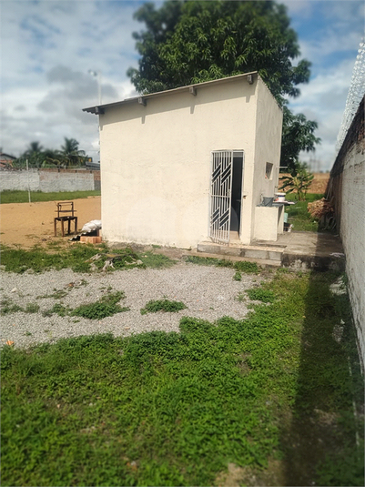 Foto REO1099676