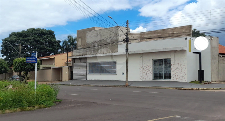Foto REO1099677