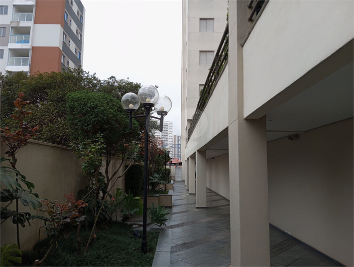 Foto REO1099678
