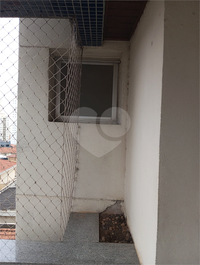 Foto REO1099678