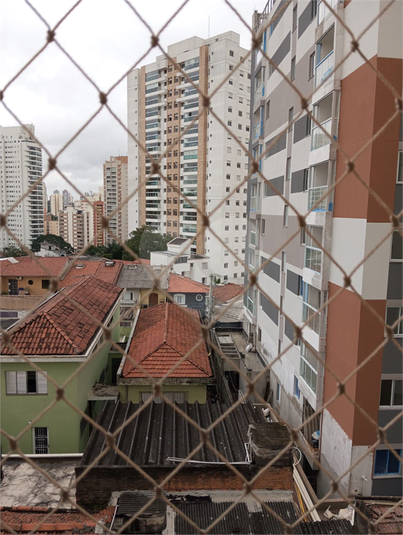Foto REO1099678