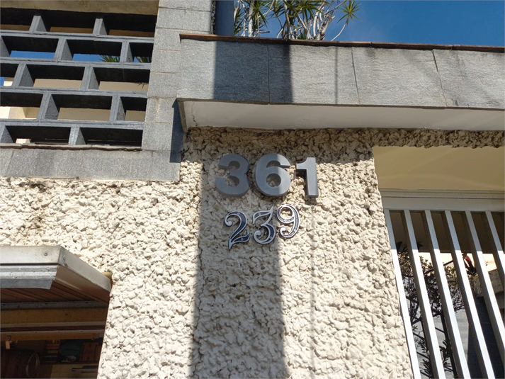 Foto REO1099680
