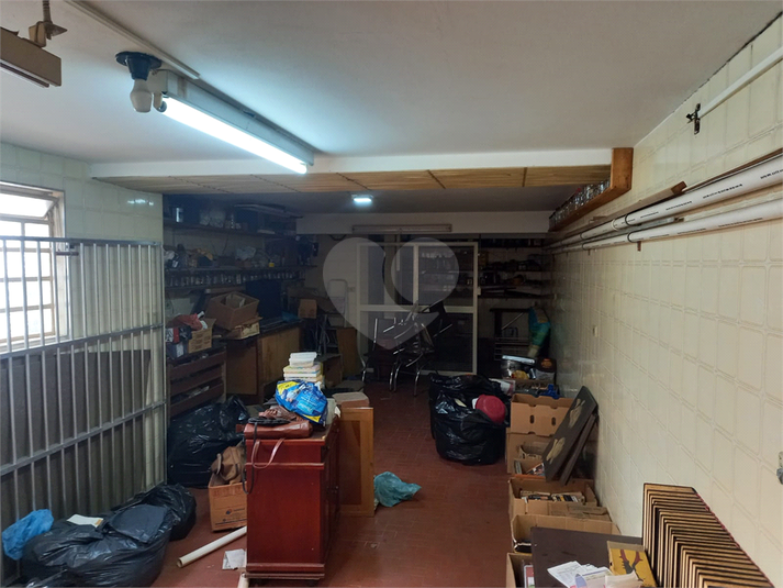 Foto REO1099680