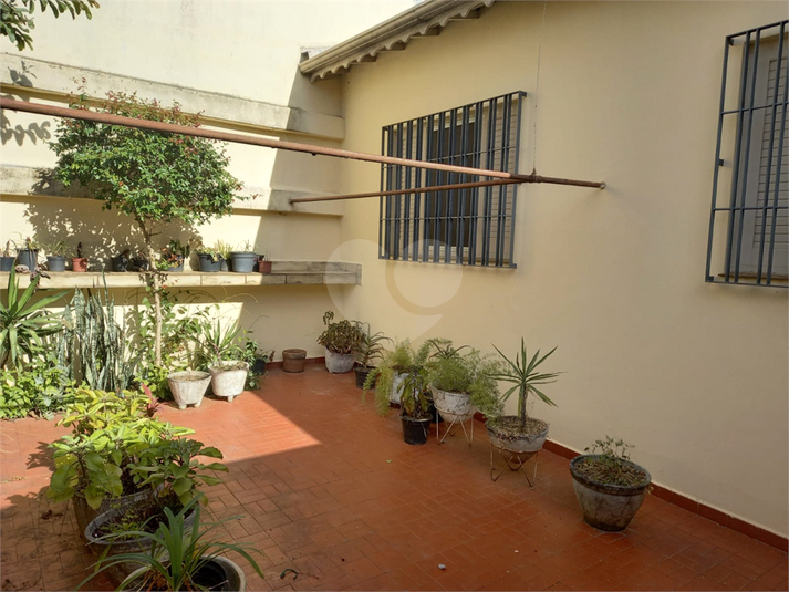 Foto REO1099680
