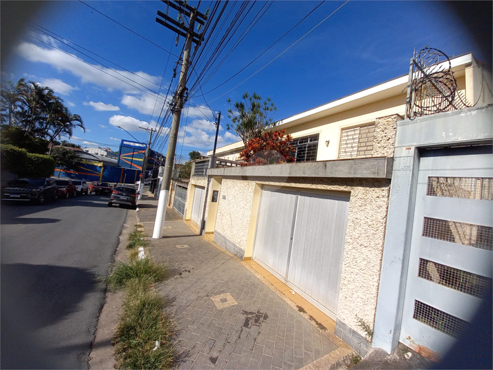 Foto REO1099680