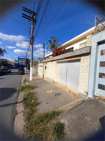 Foto REO1099680