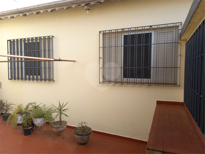 Foto REO1099680