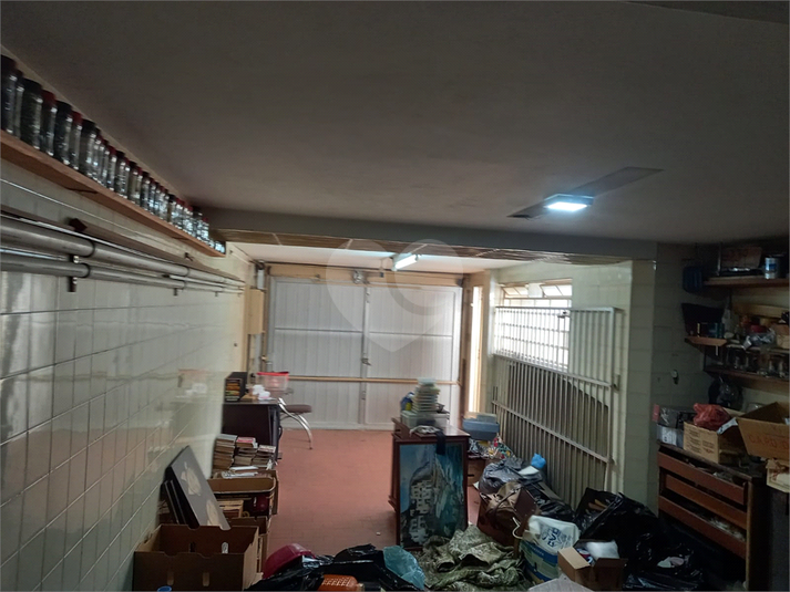 Foto REO1099680