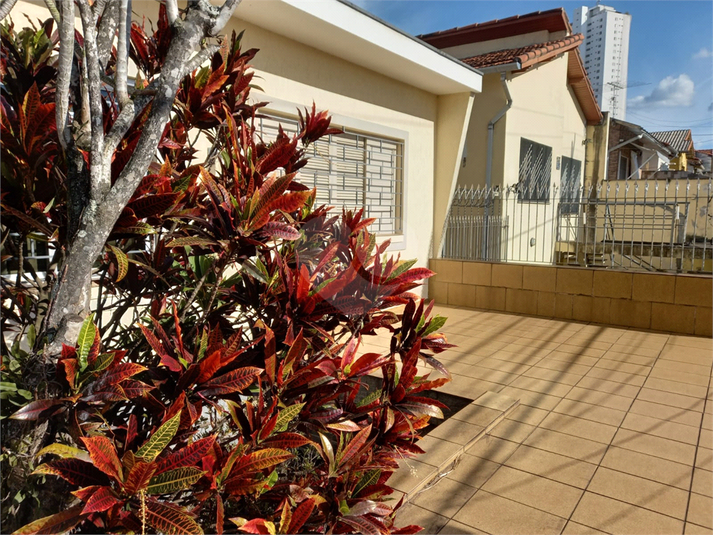 Foto REO1099680