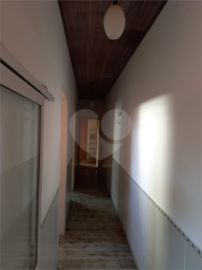 Foto REO1099680