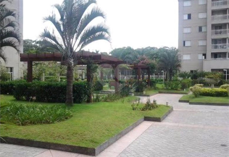 Foto REO1099691
