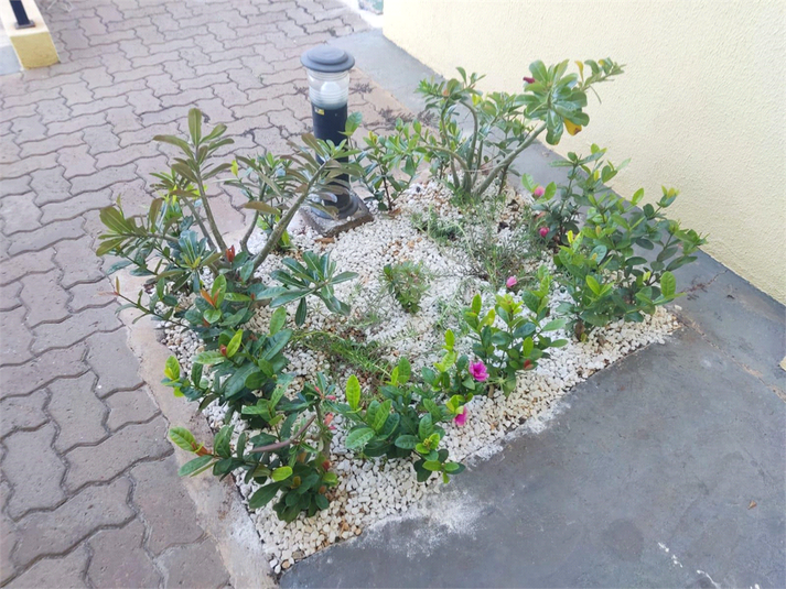 Foto REO1099693