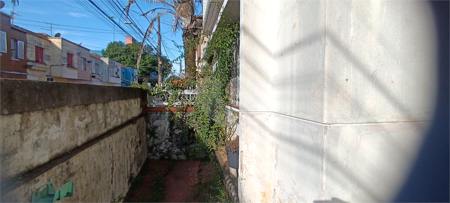 Foto REO1099700