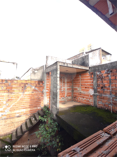 Foto REO1099701