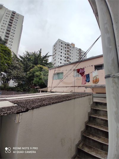 Foto REO1099703