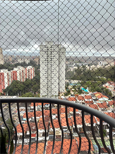 Foto REO1099707