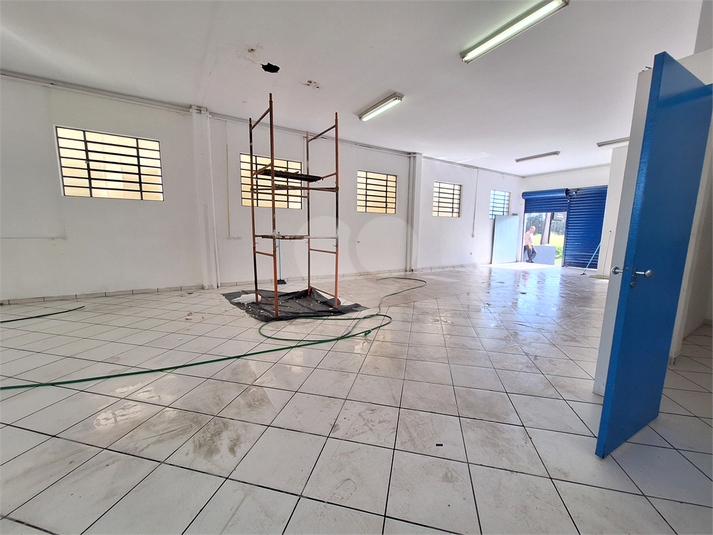 Foto REO1099719