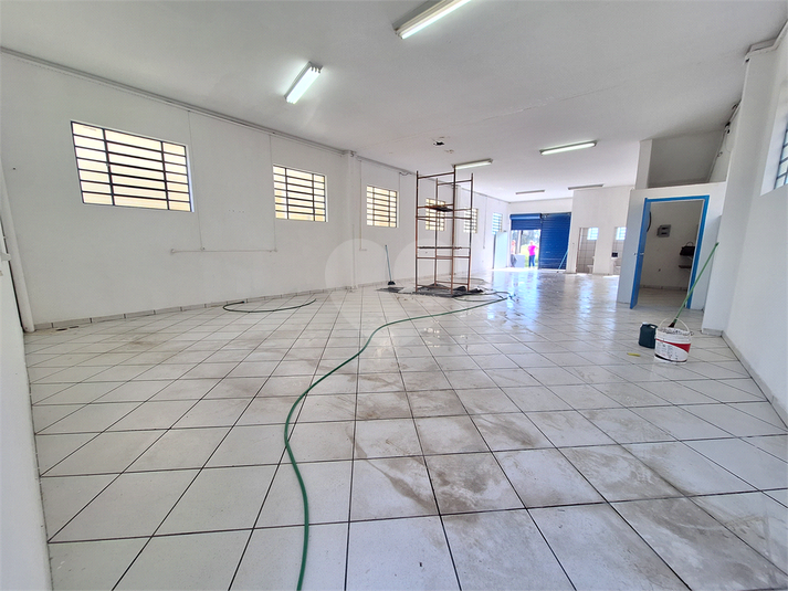 Foto REO1099719
