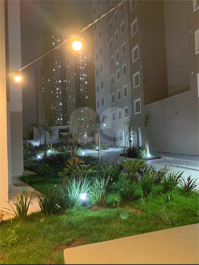 Foto REO1099722