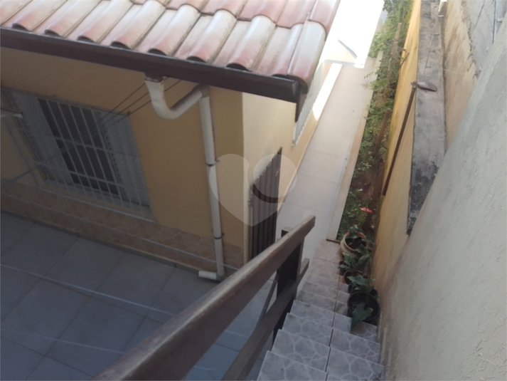 Foto REO1099726
