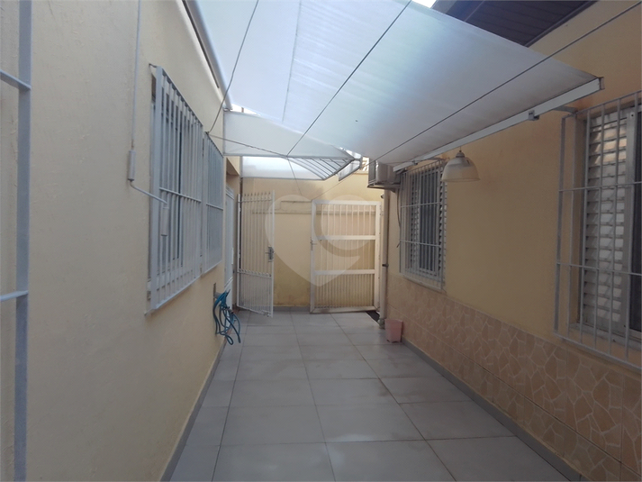 Foto REO1099726