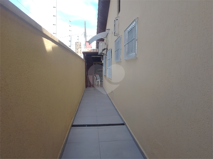Foto REO1099726