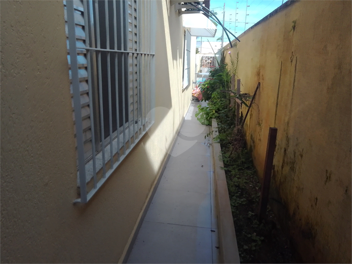 Foto REO1099726