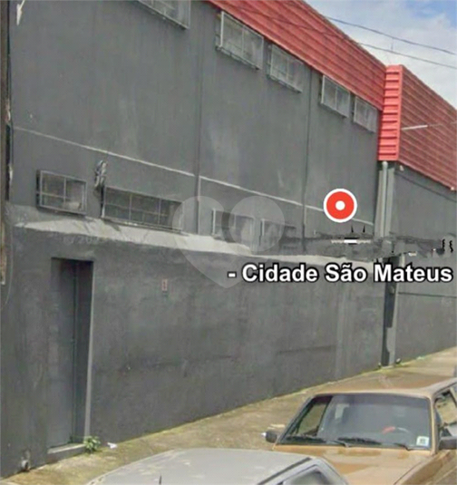 Foto REO1099732