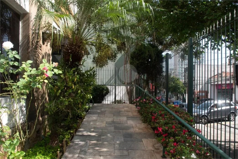 Foto REO1099742